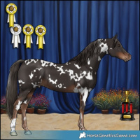 Horse Color:White Spotted Liver Chestnut 