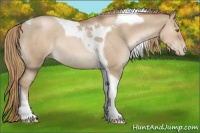 Horse Color:Liver Red Dun Pearl Tobiano 