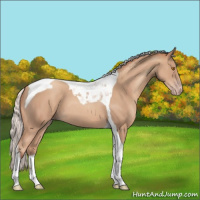 Horse Color:Silver Classic Champagne Tobiano 