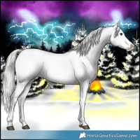 Horse Color:White Spotted Liver Chestnut Mushroom Splash Appaloosa