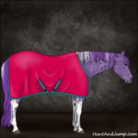 Horse Color:Watercolor Smoky Black Ice Tobiano Rabicano 
