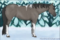 Horse Color:Smoky Grullo Roan Tobiano 