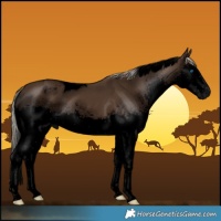 Horse Color:Gray Void Silver Black Splash Tobiano
