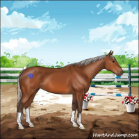 Horse Color:Silver Bay