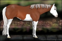 Horse Color:Silver Brown Splash 