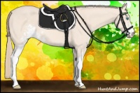 Horse Color:Perlino Sabino 