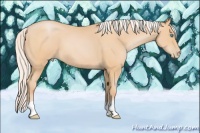 Horse Color:Silver Buckskin Pearl 