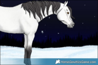 Horse Color:Platinum Buckskin Roan Dun 