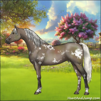 Horse Color:White Spotted Liver Red Dun Mushroom