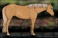 Horse Color:Palomino