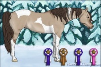 Horse Color:Liver Red Dun Tobiano 