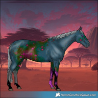 Horse Color:ERROR: UNKNOWN ANOMALY