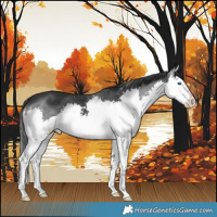 Horse Color:Black Splash