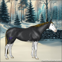 Horse Color:Painted Black Splash