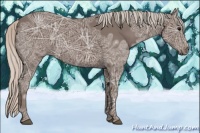 Horse Color:Silver Black Ice 