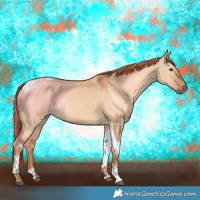 Horse Color:Red Dun Tobiano 