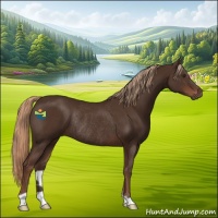 Horse Color:Liver Chestnut Rabicano 