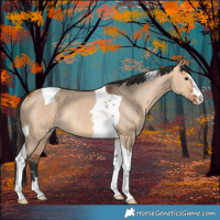 Horse Color:Bay Dun Tobiano Rabicano