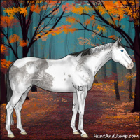 Horse Color:Grullo Ice Splash Tobiano 