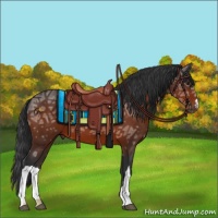 Horse Color:Brown Ice 
