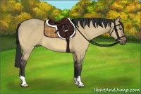 Horse Color:Buckskin Dun 