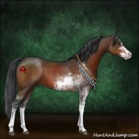 Horse Color:Brown Sabino