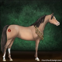 Horse Color:Sable Champagne Sabino 