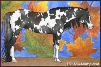 Horse Color:White Spotted Black Sabino