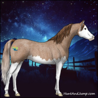 Horse Color:Red Roan Splash Varnish 