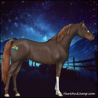 Horse Color:Liver Red Roan 