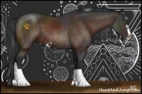 Horse Color:Brown Sabino