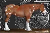 Horse Color:Bay Sabino Rabicano