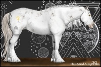 Horse Color:Liver Chestnut Sabino Rabicano 