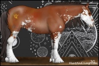 Horse Color:Brown Sabino Rabicano 