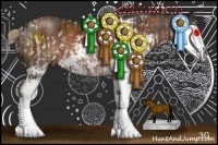 Horse Color:Brown Sabino  and Liver Chestnut Sabino Rabicano 