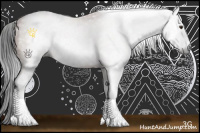 Horse Color:Gray Bay Sabino Rabicano