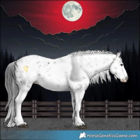 Horse Color:Bay Sabino 