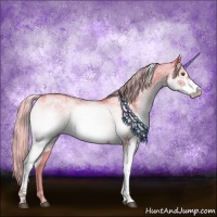 Horse Color:White Spotted Silver Bay Dun