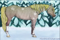 Horse Color:Painted Silver Bay Dun Rabicano 