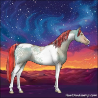 Horse Color:Painted Silver Brown Dun Tobiano Rabicano