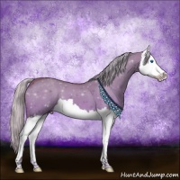 Horse Color:Silver Brown Dun Splash 