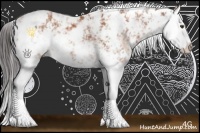 Horse Color:Bay Sabino Splash 