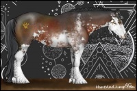 Horse Color:Brown Sabino 