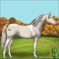 Horse Color:Smoky Creme Tobiano 
