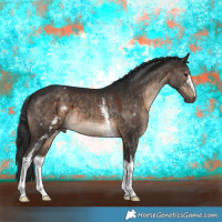 Horse Color:White Spotted Brown Dun Brindle 