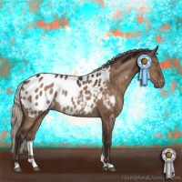 Horse Color:Silver Brown Dun Appaloosa Rabicano 