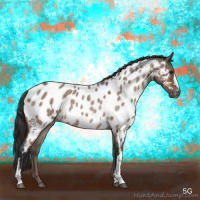 Horse Color:Brown Roan Dun Appaloosa Brindle 