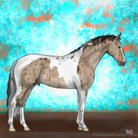 Horse Color:Bay Dun Sabino Tobiano Brindle 