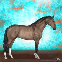 Horse Color:Brown Dun Rabicano 
