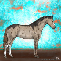 Horse Color:Liver Red Dun Rabicano Brindle 